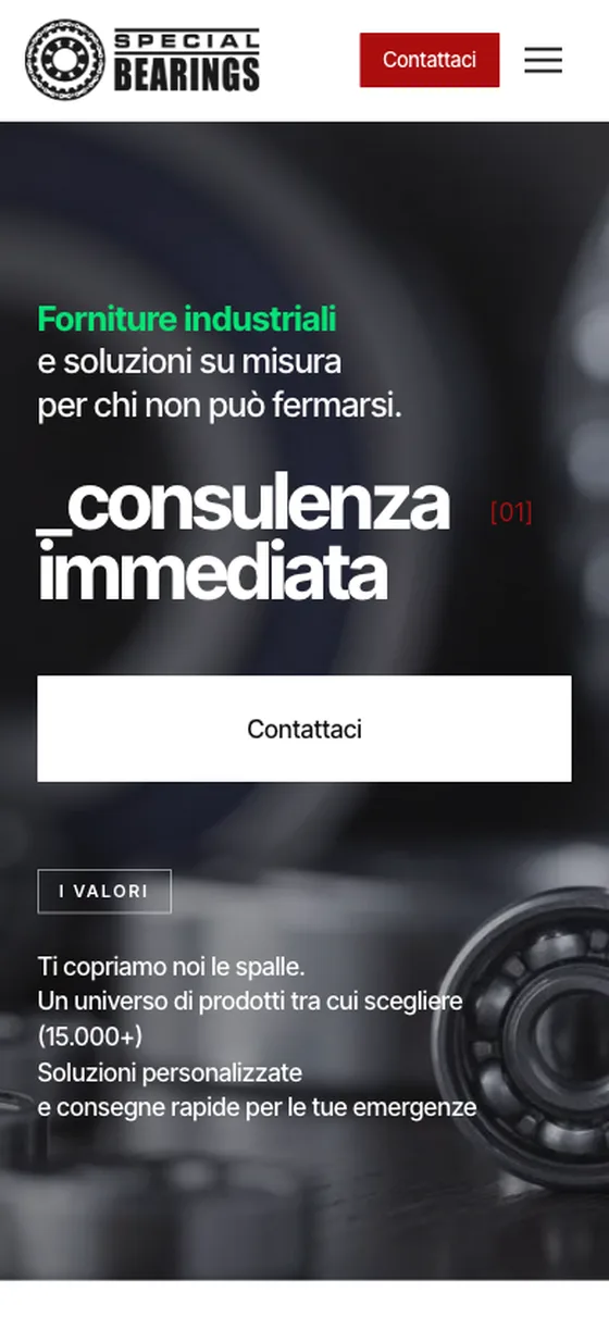 Special Bearings — sito DeepCMS