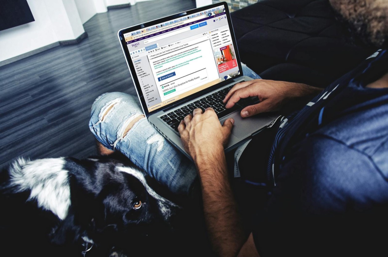 Ricerca Google su laptop con SERP e risultati zero-click