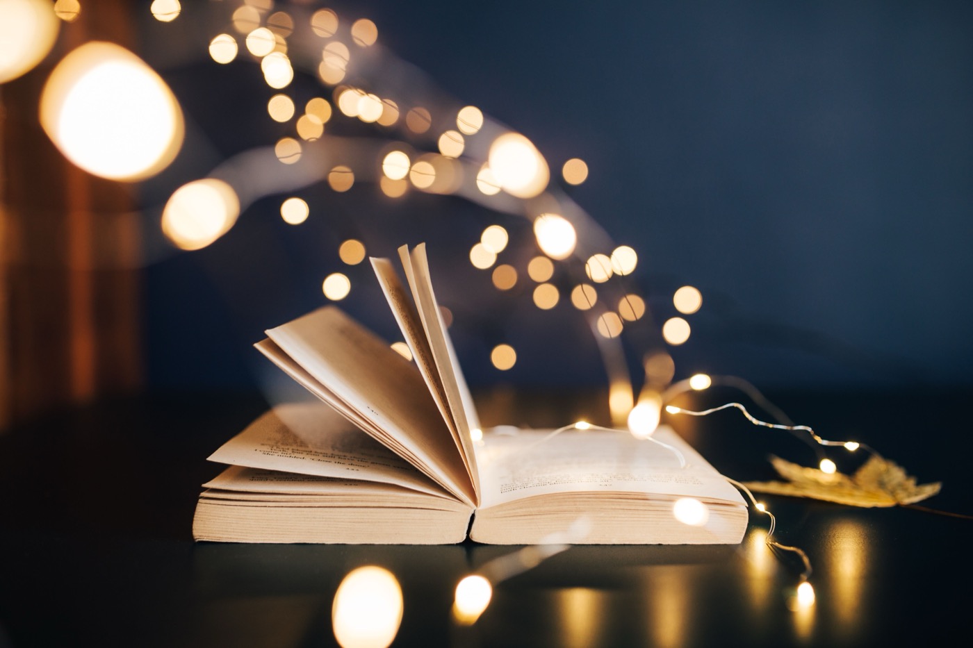 10 Best Brand Management Books 2026 (with Reviews)